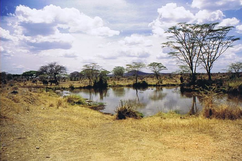 Tanzania_SerengetiNP_2002_Img0088