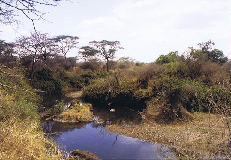 Tanzania_SerengetiNP_2002_Img0089