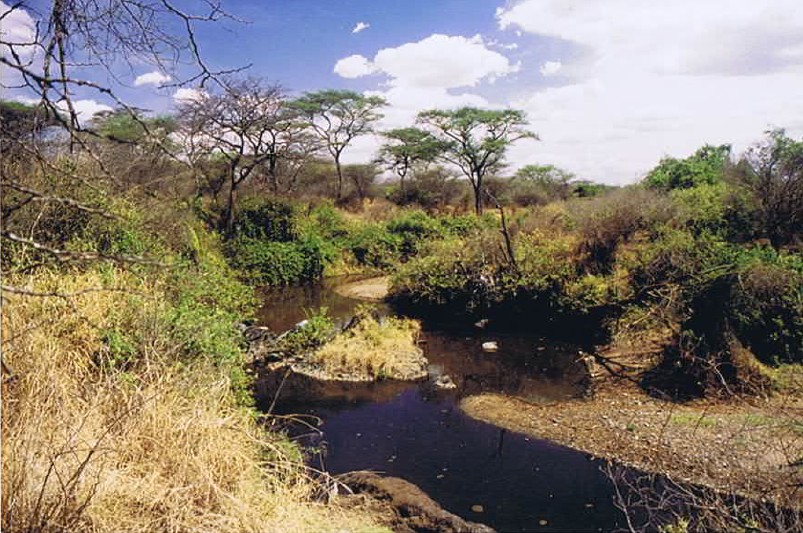 Tanzania_SerengetiNP_2002_Img0091