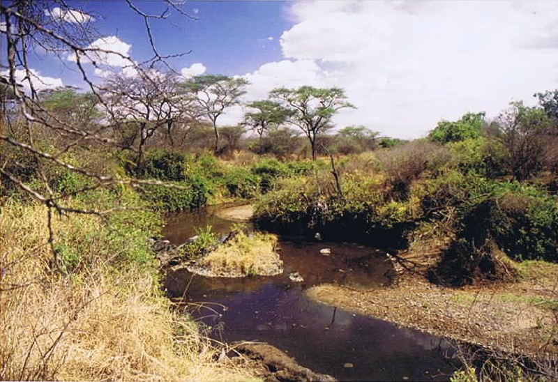 Tanzania_SerengetiNP_2002_Img0092