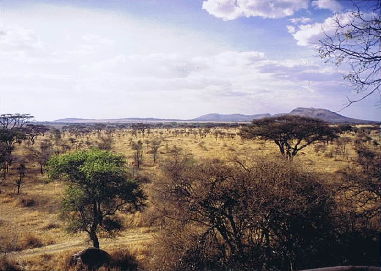 Tanzania_SerengetiNP_2002_Img0106