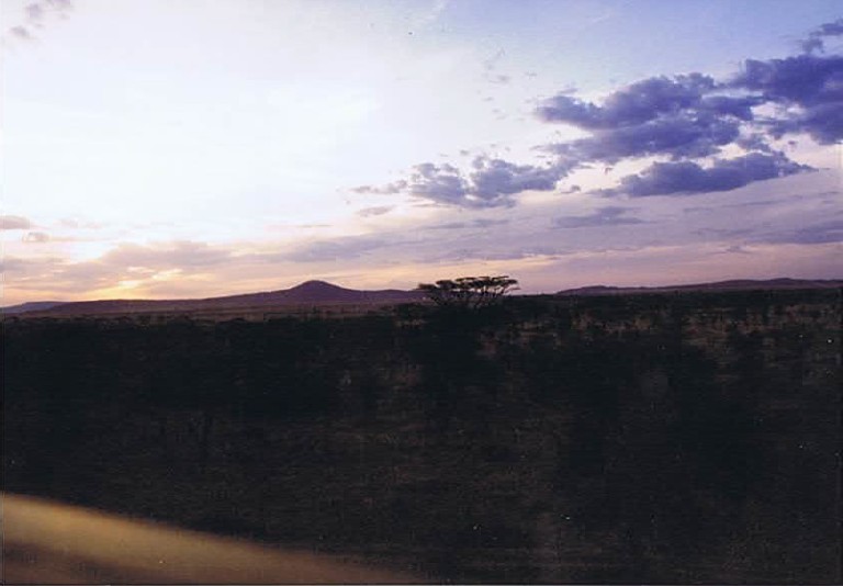 Tanzania_SerengetiNP_2002_Img0108