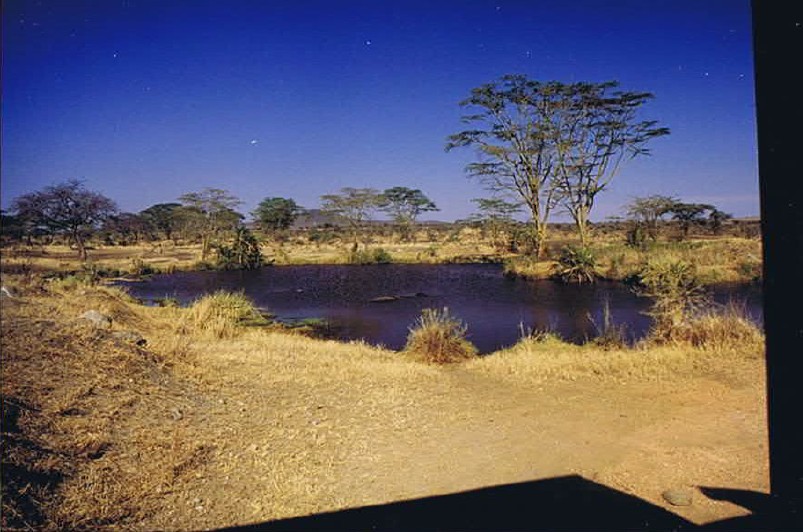 Tanzania_SerengetiNP_2002_Img0118
