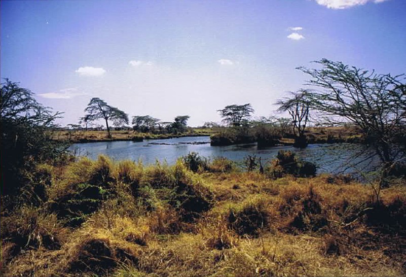 Tanzania_SerengetiNP_2002_Img0145