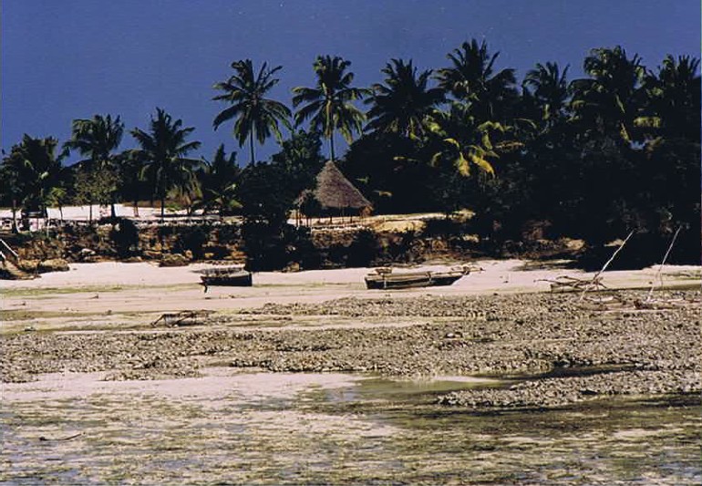 Zanzibar_Kizimkazi_2002_Img0069