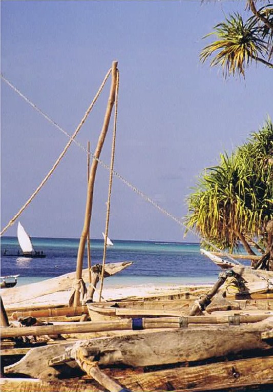 Zanzibar_Nungwe_2002_Img0096