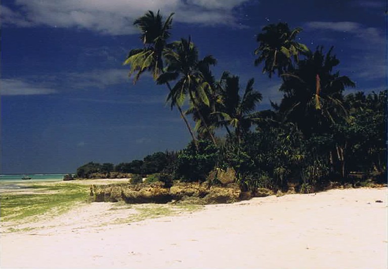 Zanzibar_Nungwe_2002_Img0108