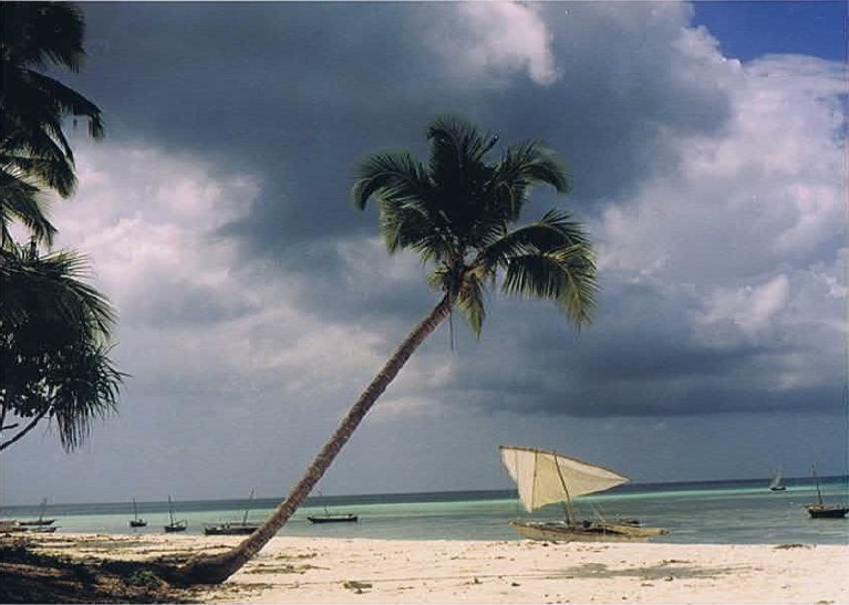 Zanzibar_Nungwe_2002_Img0110