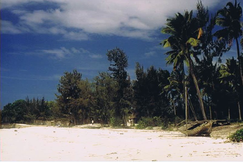 Zanzibar_Nungwe_2002_Img0111