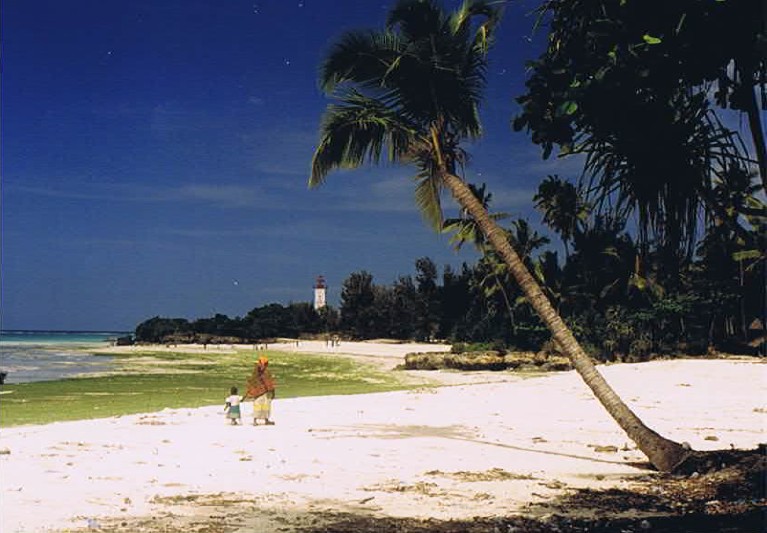 Zanzibar_Nungwe_2002_Img0112