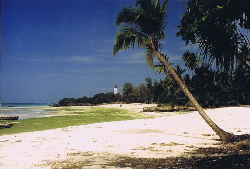 Zanzibar_Nungwe_2002_Img0113