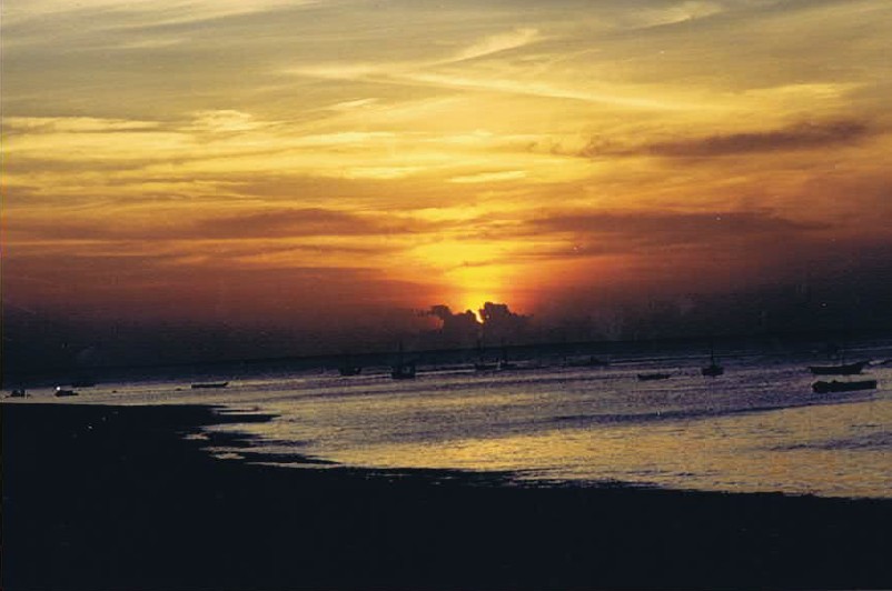 Zanzibar_Nungwe_2002_Img0119