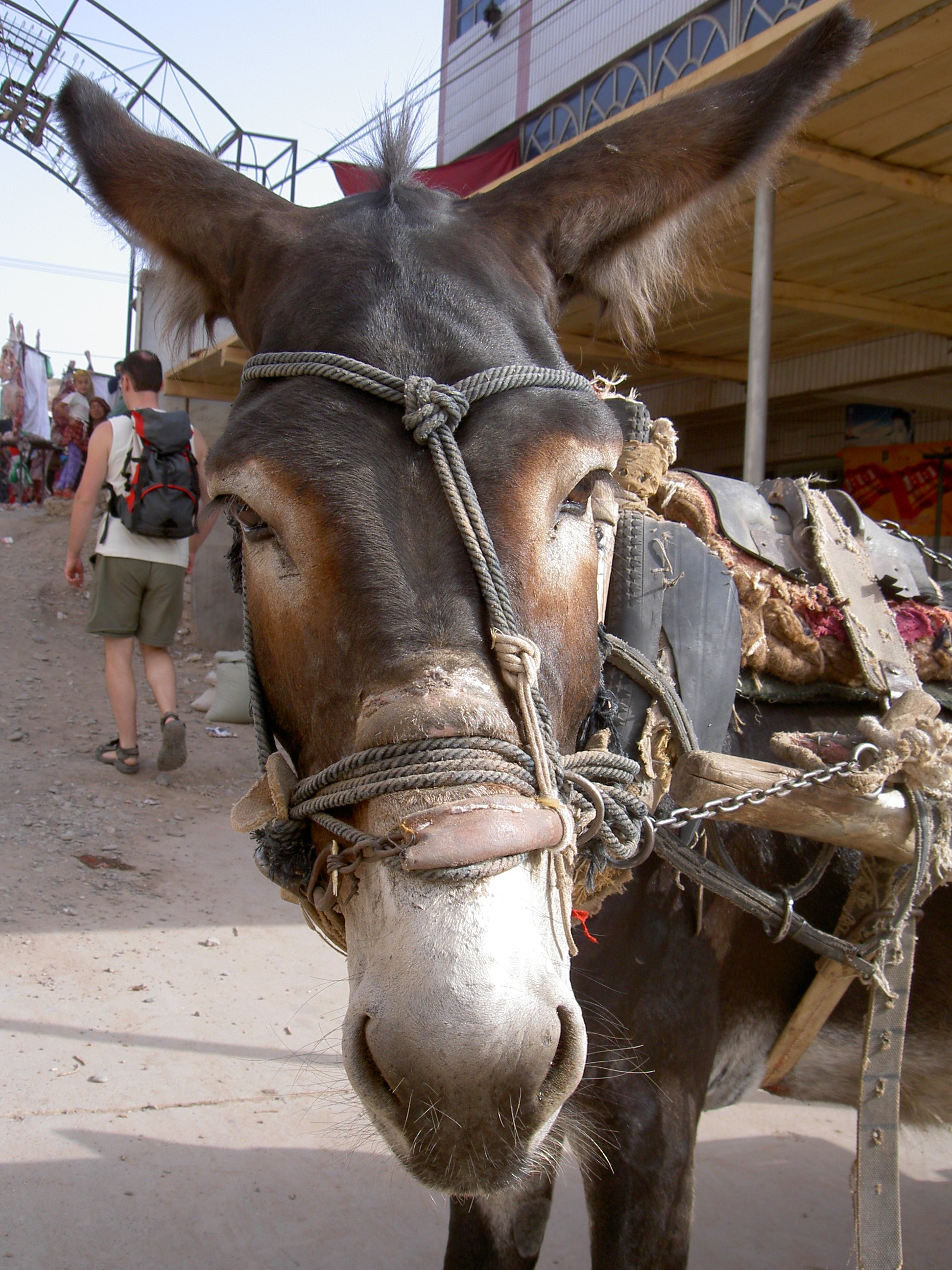 Xinjiang_Kashgar_2004_Img0074d