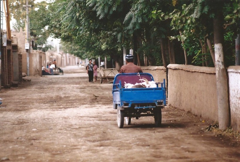 Xinjiang_TurpanWalk_2004_Img0008