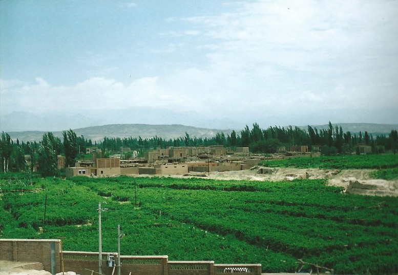 Xinjiang_TurpanWalk_2004_Img0035