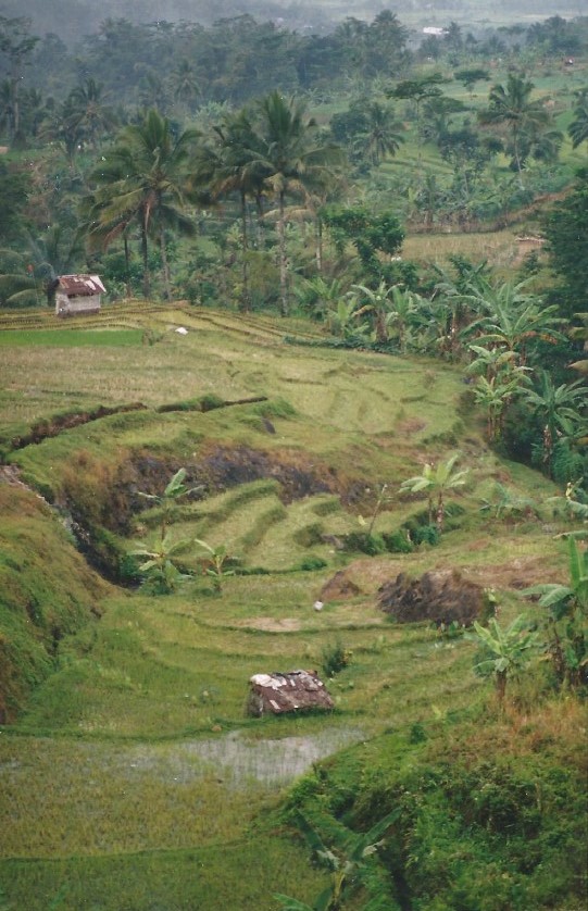 Indonesie_Baturaden_2003_Img0001