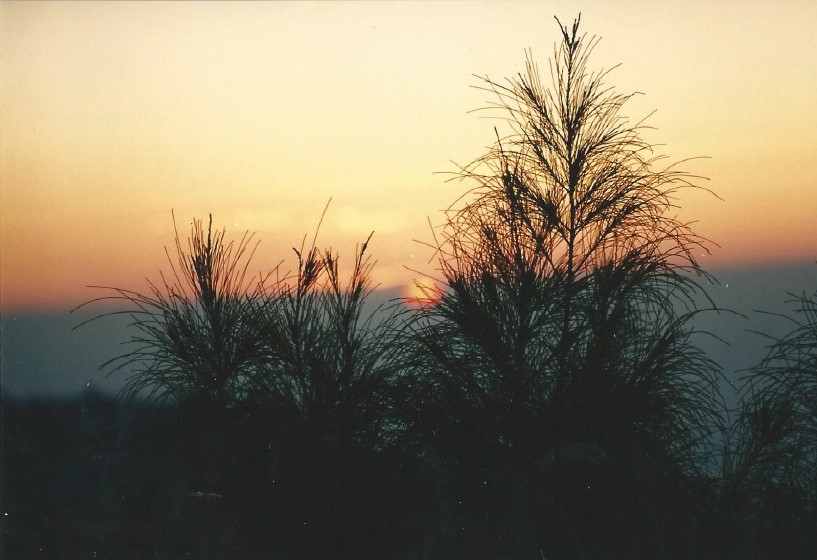 Indonesie_Bromo_2003_Img0010