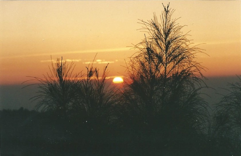 Indonesie_Bromo_2003_Img0011