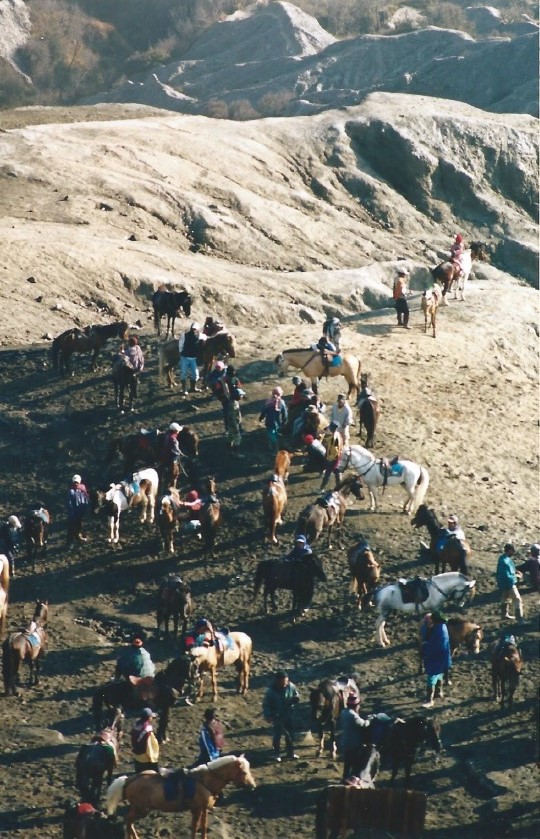 Indonesie_Bromo_2003_Img0026