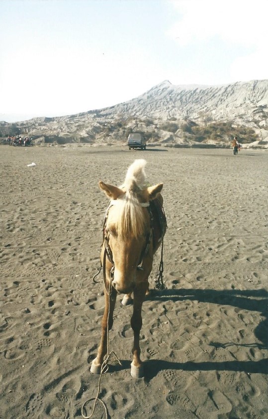 Indonesie_Bromo_2003_Img0032