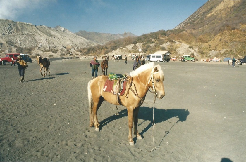 Indonesie_Bromo_2003_Img0033