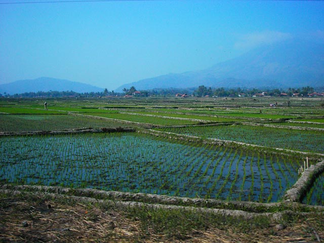 Indonesie_Treinreis_2003_Img0006a