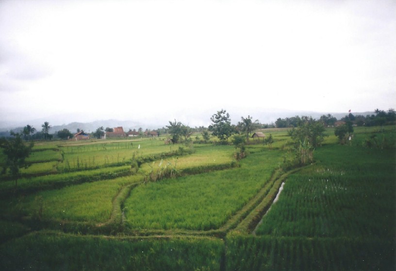 Indonesie_Treinreis_2003_Img0018