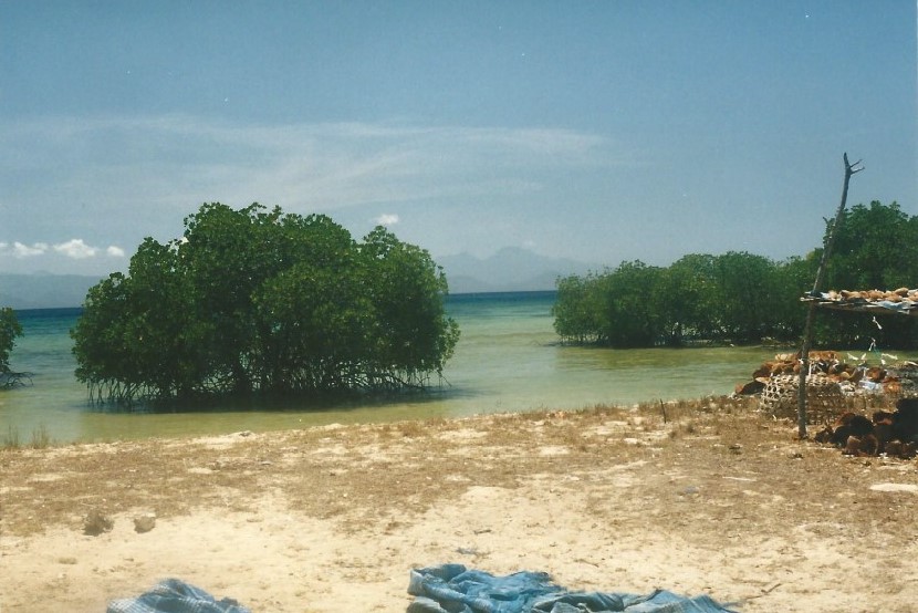 Indonesie_Lembongan_2003_Img0006