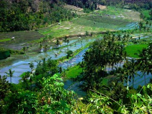 Indonesie_Noord Midden Bali_2003_Img00019b