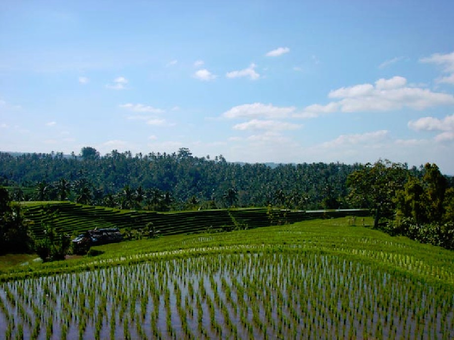 Indonesie_Noord Midden Bali_2003_Img0002a