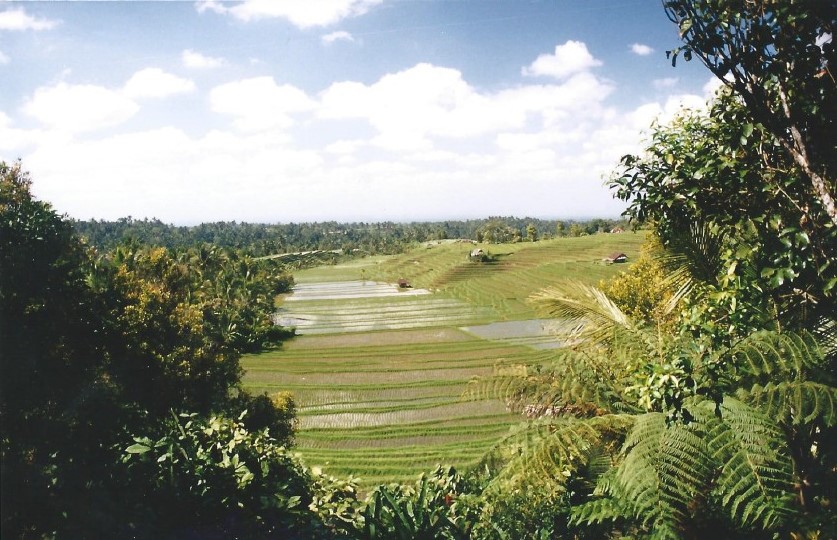 Indonesie_Noord Midden Bali_2003_Img0010