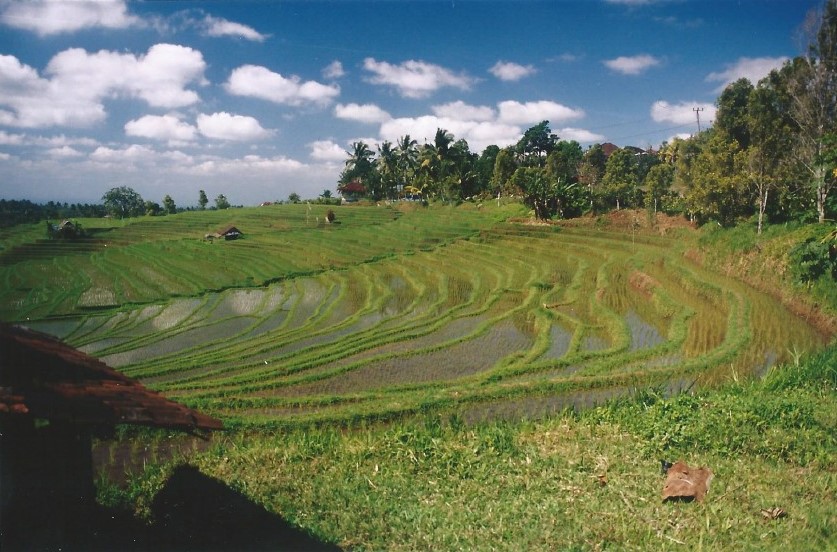 Indonesie_Noord Midden Bali_2003_Img0011