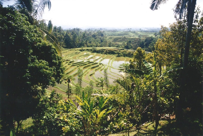 Indonesie_Noord Midden Bali_2003_Img0012