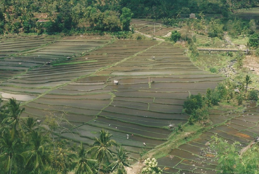 Indonesie_Noord Midden Bali_2003_Img0015