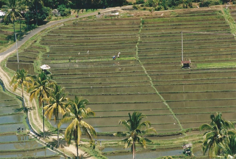 Indonesie_Noord Midden Bali_2003_Img0018