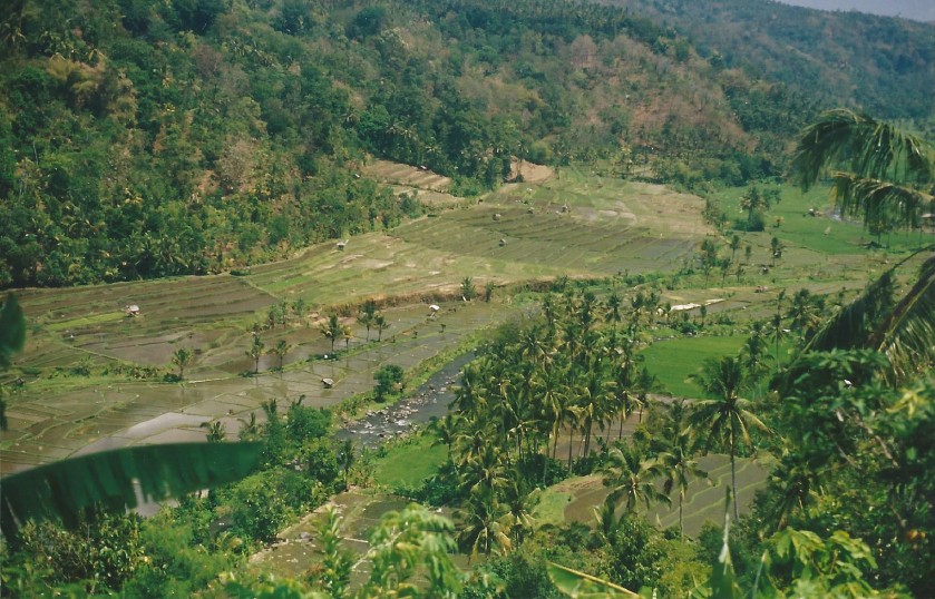 Indonesie_Noord Midden Bali_2003_Img0019