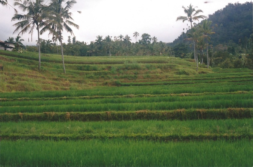 Indonesie_Noord Midden Bali_2003_Img0020