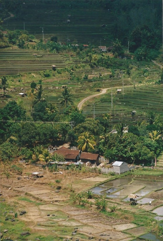 Indonesie_Noord Midden Bali_2003_Img0021