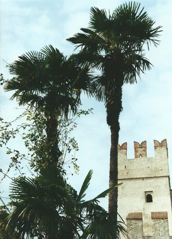 Italie_Lombardije_Sirmione_2000_Img0008