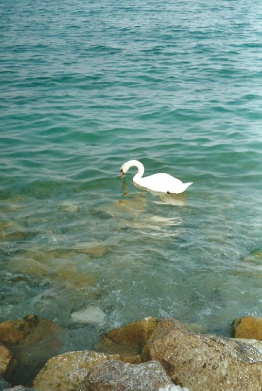 Italie_Lombardije_Sirmione_2000_Img0015