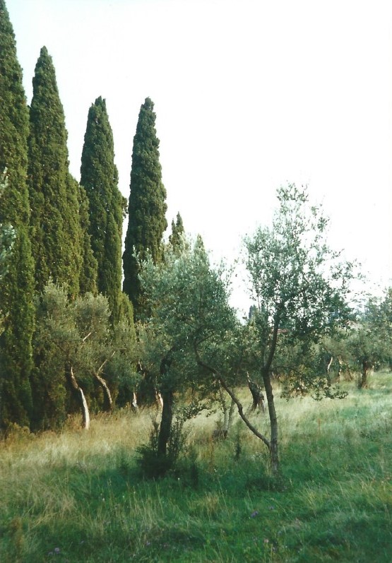 Italie_Lombardije_Sirmione_2000_Img0018