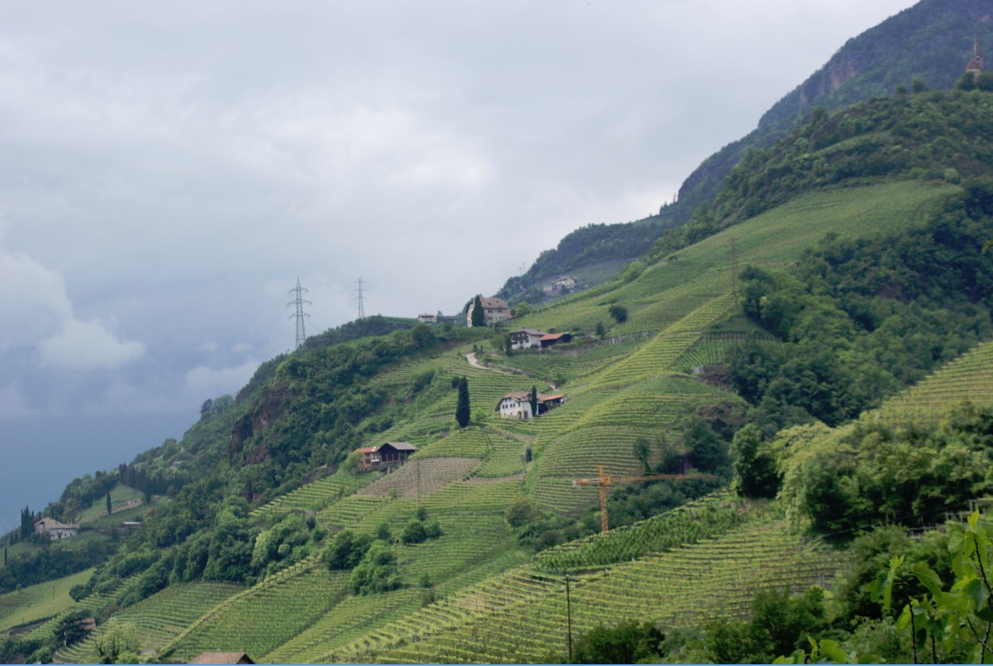 Italie_TrentoAltoAdige_W1_2010_Img0006