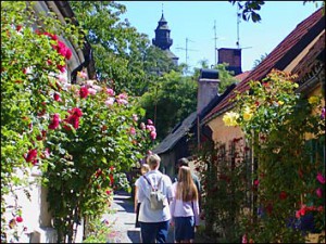 Rozestruiken in Visby...