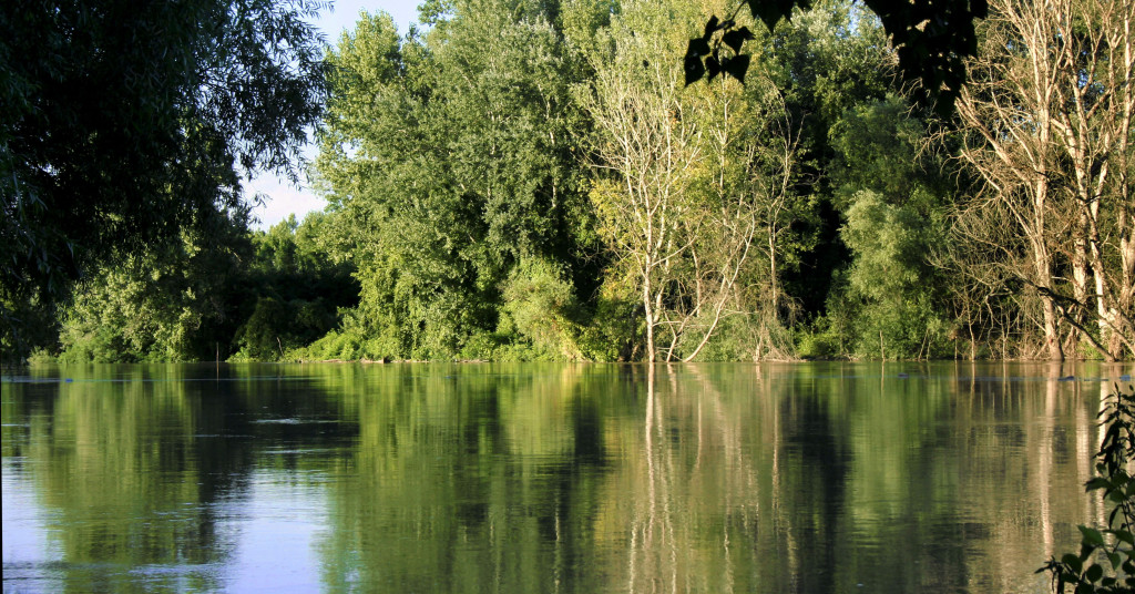 Tisza_River_floods,_in_July