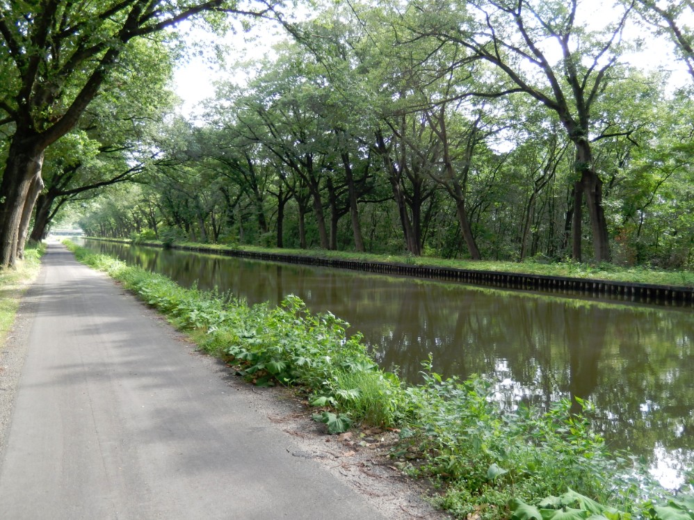 Nederland_Kempen2_2013_Img0034