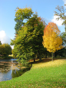 Oude Plantsoen in de herfst...