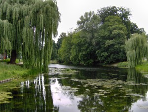 Oude Plantsoen of Rijsterborgherpark te Deventer...