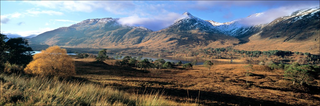 Afrikaanse sfeer in Glen Affric...