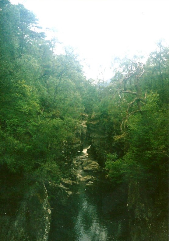 Schotland_GlenAffric_1990_Img0008