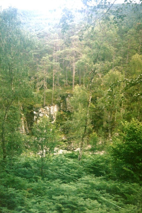 Schotland_GlenAffric_1990_Img0009